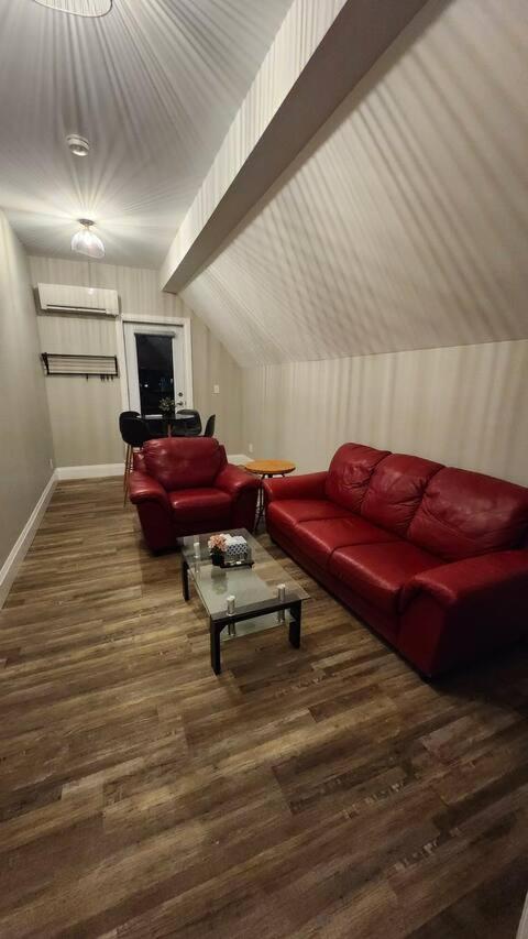 Entire 1 Bedroom Apartment Across From Google - Br5 Kitchener Exterior photo
